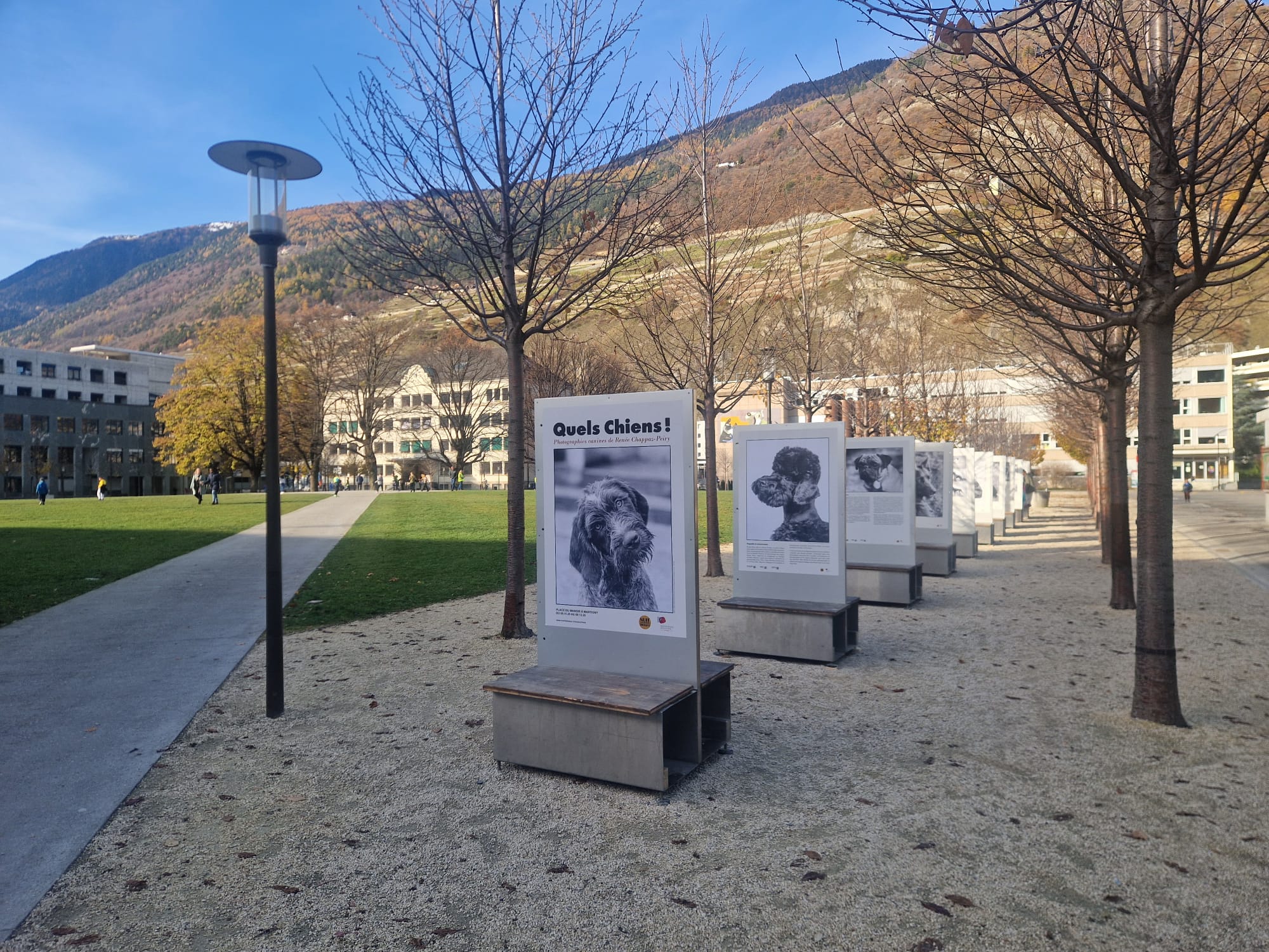 Avec &quot;Quels chiens&quot; la Médiathèque Valais reconnaît le travail de la photographe Renée Chappaz-Peiry